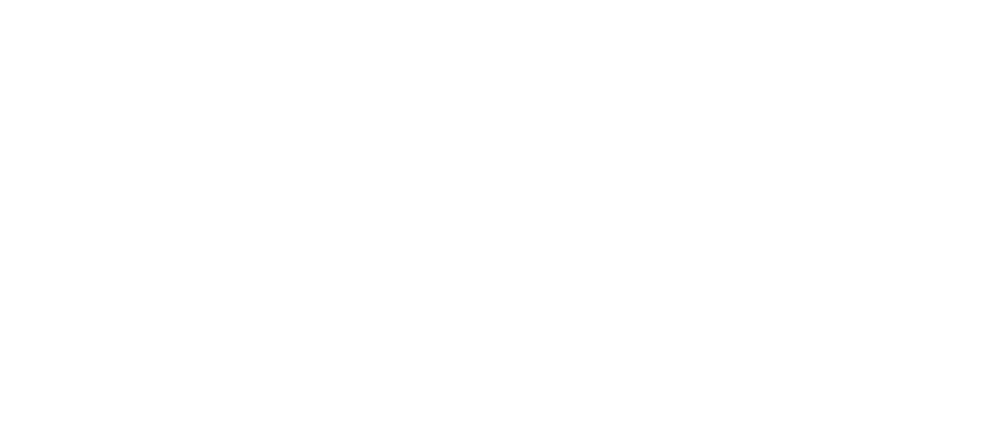 bilservice-logo-hvit